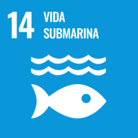 VIDA SUBMARINA